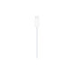 Magnetni hitri polnilec na USB-C kabel za Apple Watch, 1 m, aluminium, bulk