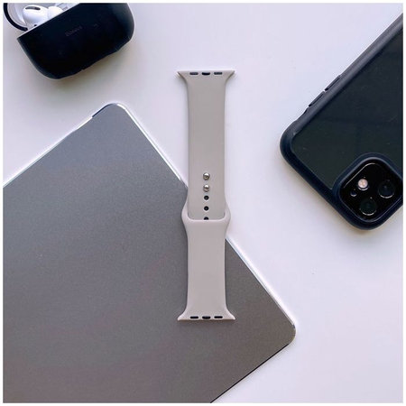 Tech-Protect - Iconband pašček za Apple Watch 4, 5, 6, 7, SE (42, 44, 45mm), siv