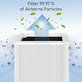 Blueair Blue Pure 211+ - HEPA filter (Aktivno oglje)