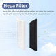 HEPA filter, 2 kos za Rowenta X-plorer S65, S65+, S70, S70+, S75s, S75s+