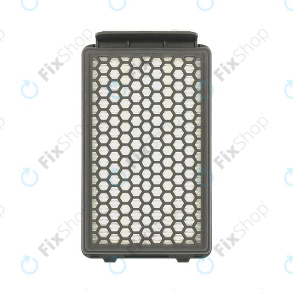 HEPA filter ZR903501, 2 kos za Rowenta Compact Power