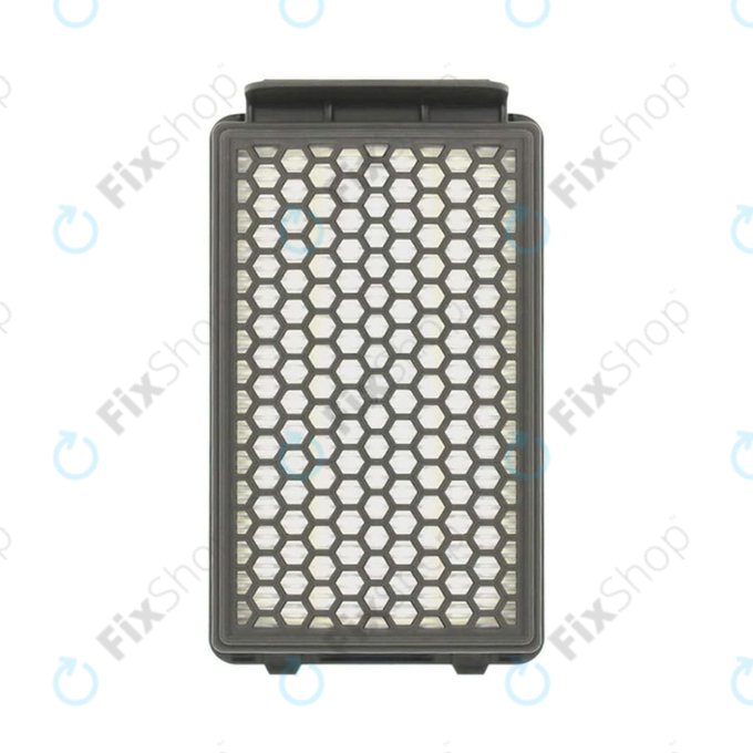HEPA filter ZR903501, 2 kos za Rowenta Compact Power