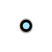 Apple iPhone 8, SE (2020), SE (2022) - Okvir + steklo zadnje kamere (Silver, White)