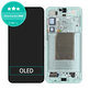 Samsung Galaxy S25 Plus - LCD zaslon + steklo na dotik + okvir (Mint) OLED