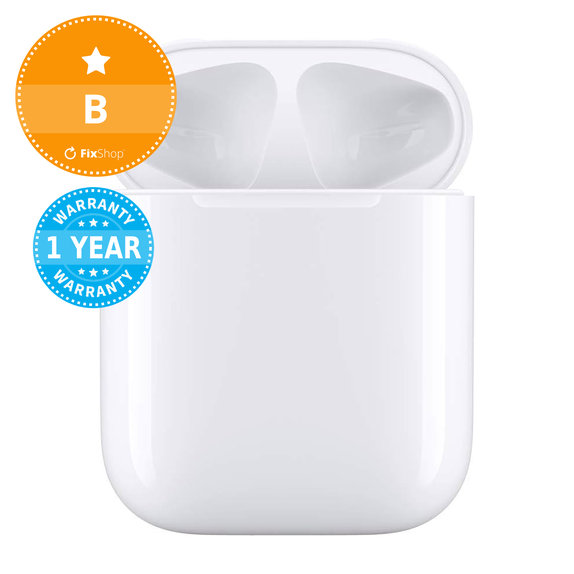 Nadomestna Polnilna Torbica za Apple AirPods 2nd Gen (2019) B
