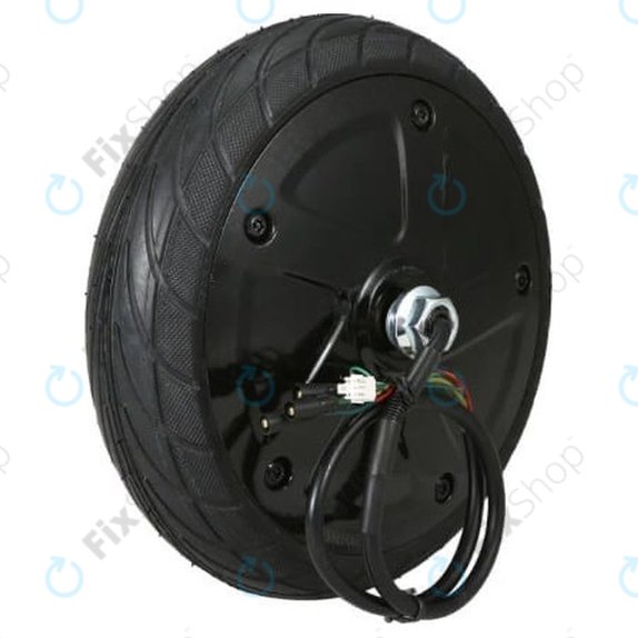 Ninebot Segway ES1, ES2 - Celoten motor s pnevmatiko 36V 350W