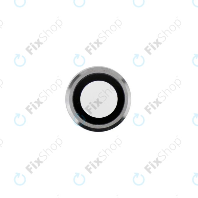 Apple iPad Pro 9.7 (2016) - Steklo zadnje kamere (Silver)