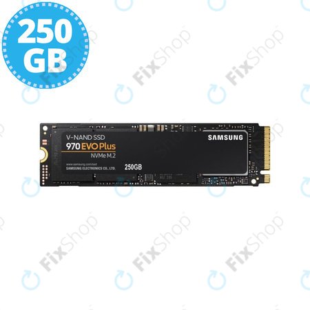 Samsung 970 EVO Plus - SSD 2,5" 250GB