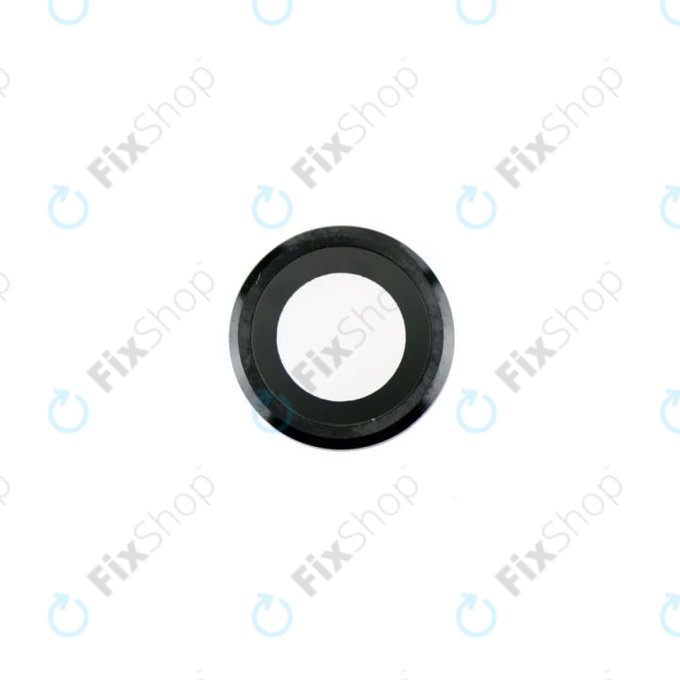 Apple iPad Pro 9.7 (2016) - steklo zadnje kamere (Space Gray)