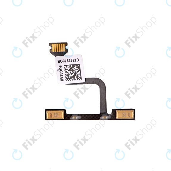 Apple iPad Pro 9.7 (2016) - zadnja kamera + glasnost + mikrofon Flex Cable